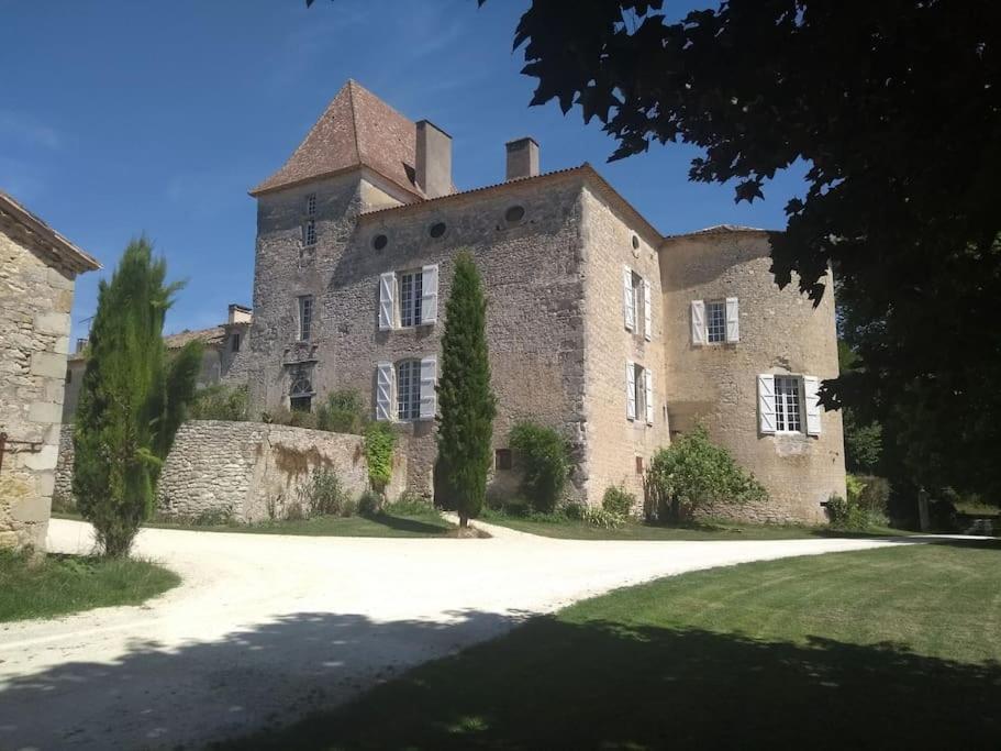 Chateau Barayre - Beautiful 12Th Century Castle With Pool And Large Garden Laussou Kültér fotó